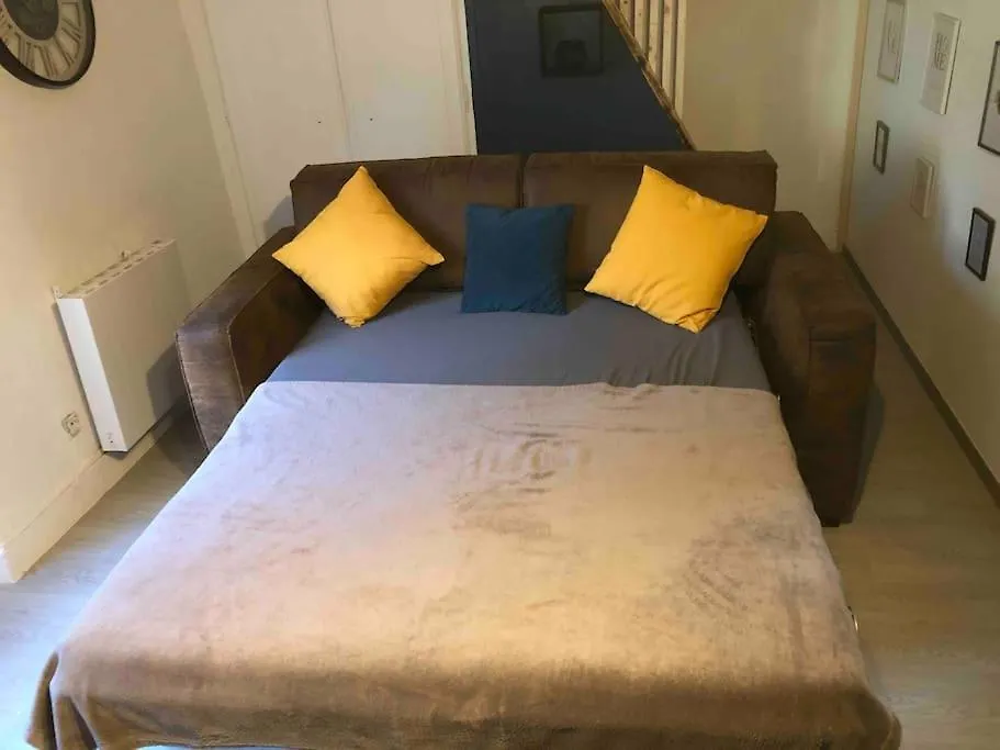 Appartement Chambery Rue Pietonne Apartment